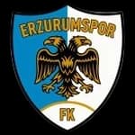 Эрзурумспор
